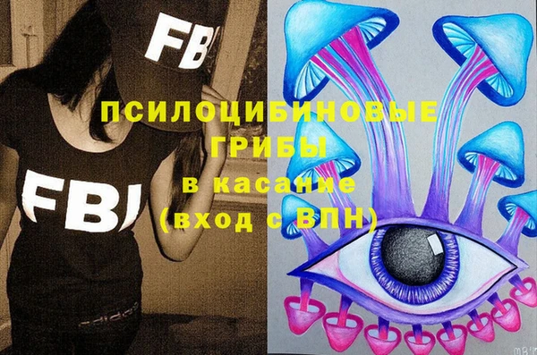 ГАЛЛЮЦИНОГЕННЫЕ ГРИБЫ Семикаракорск