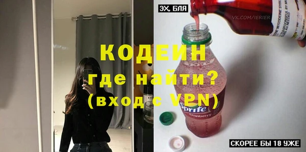 индика Семёнов