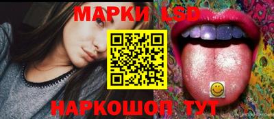 крисы Аргун
