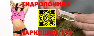 крисы Аргун