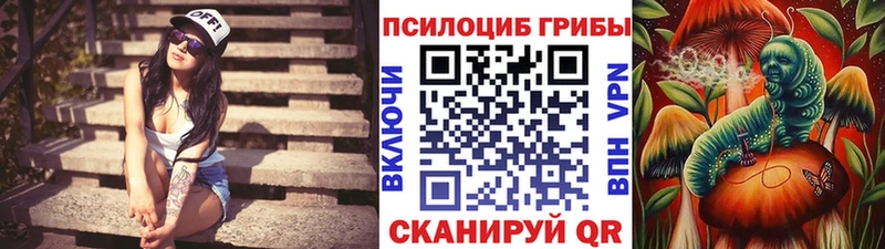 Галлюциногенные грибы Psilocybine cubensis Асино