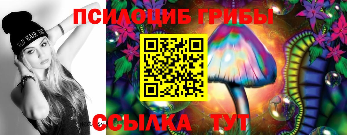 Галлюциногенные грибы GOLDEN TEACHER  Вход с VPN  Асино 