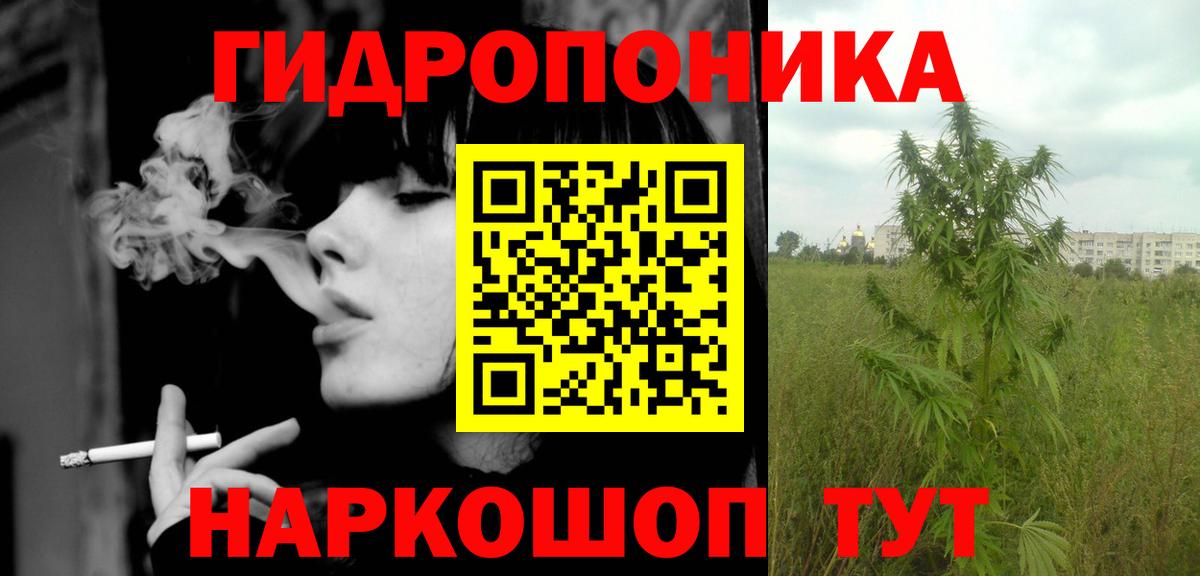 Каннабис Amnesia Асино